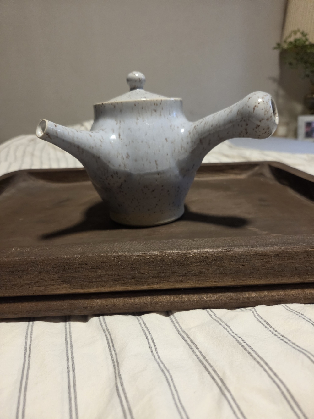 Japanese Kyusu Pot